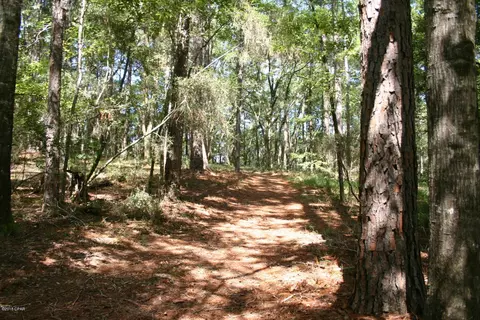 3323 Corgi Ln, Chipley, FL 32428 photo 11