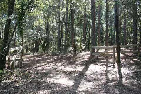 3323 Corgi Ln, Chipley, FL 32428 photo 4