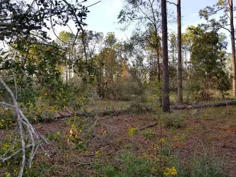 3336 Preakness Pl, Chipley, FL 32428 photo 27