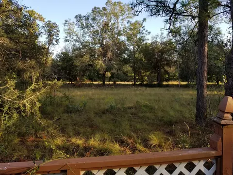 3336 Preakness Pl, Chipley, FL 32428 photo 21