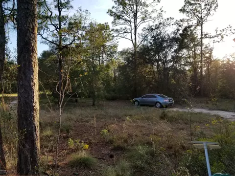 3336 Preakness Pl, Chipley, FL 32428 photo 24