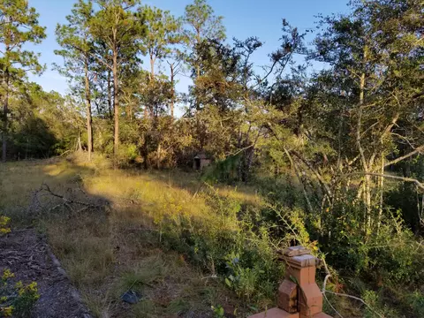 3336 Preakness Pl, Chipley, FL 32428 photo 22