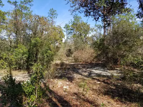 3138 Turkey Run Rd, Chipley, FL 32428 photo 30
