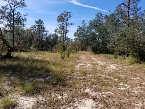 3138 Turkey Run Rd, Chipley, FL 32428 photo 27