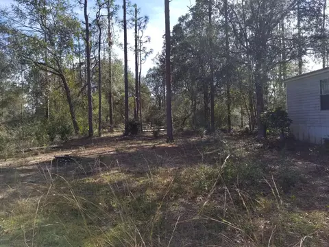 3138 Turkey Run Rd, Chipley, FL 32428 photo 29
