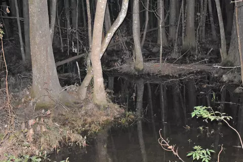 2230 Brooks Bay Rd, Chipley, FL 32428 photo 22