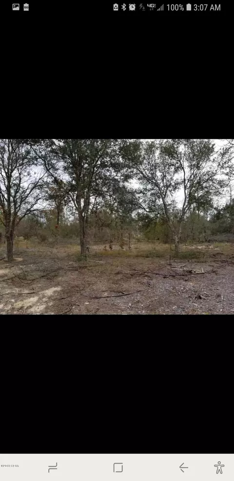 4904 Partridge Pl, Chipley, FL 32428 photo 28