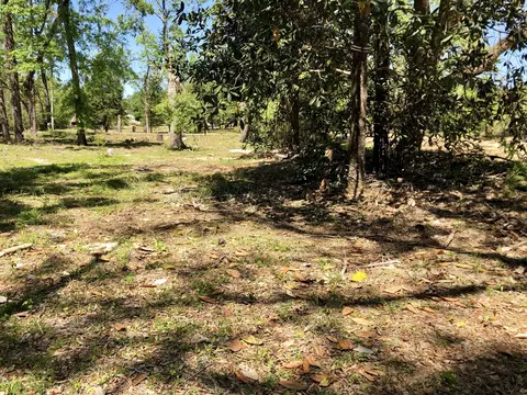 1007 Meadowlark Ln, Chipley, FL 32428 photo 44