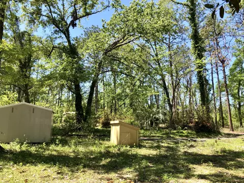 1007 Meadowlark Ln, Chipley, FL 32428 photo 43