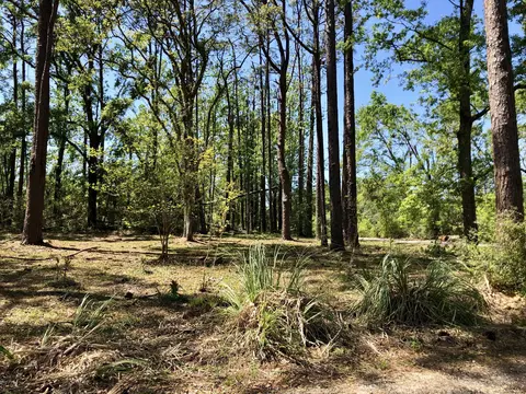 1007 Meadowlark Ln, Chipley, FL 32428 photo 36