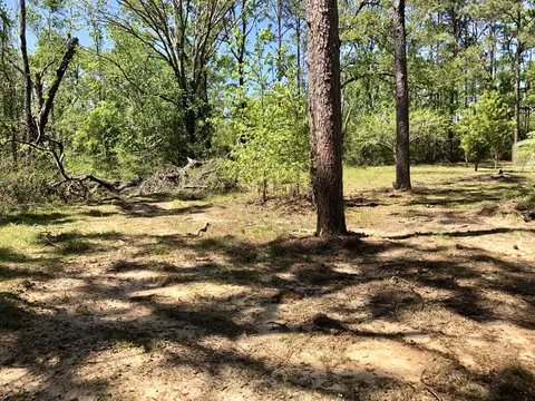 1007 Meadowlark Ln, Chipley, FL 32428 photo 46