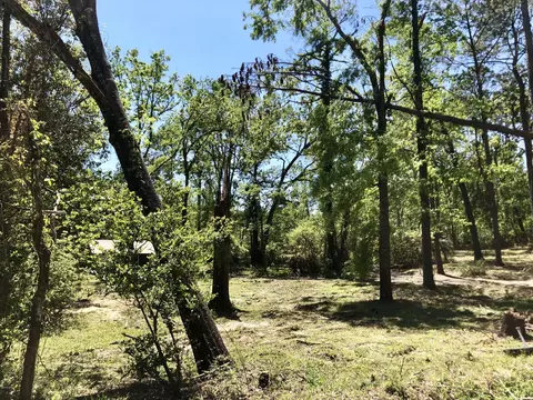 1007 Meadowlark Ln, Chipley, FL 32428 photo 35