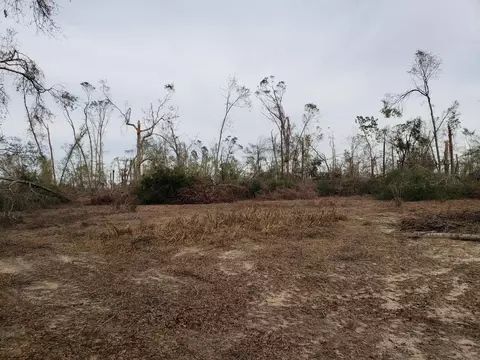 4900 Ditty Rd, Bascom, FL 32423 photo 16
