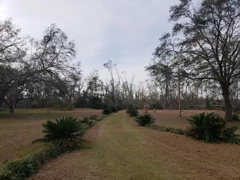 4900 Ditty Rd, Bascom, FL 32423 photo 11