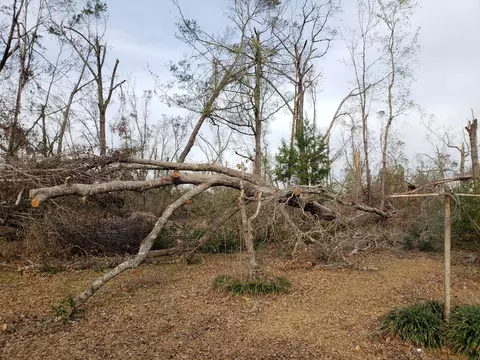 4900 Ditty Rd, Bascom, FL 32423 photo 21
