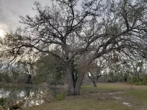 4900 Ditty Rd, Bascom, FL 32423 photo 8