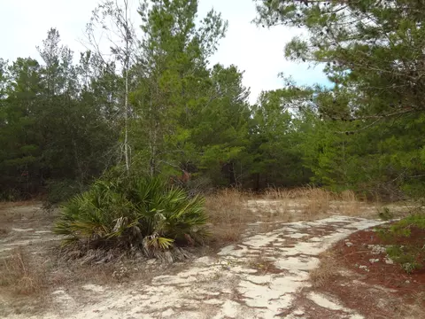 tbd Helms Rd, Ebro, FL 32437 photo 3