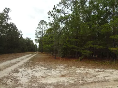 tbd Helms Rd, Ebro, FL 32437 photo 8