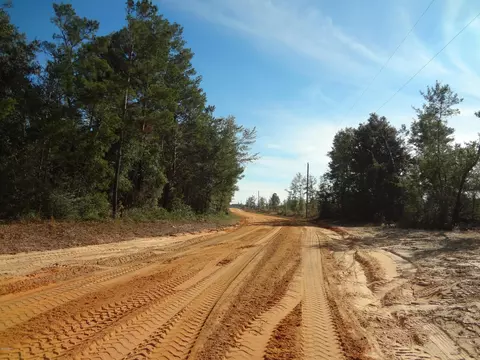 tbd Helms Rd, Ebro, FL 32437 photo 10