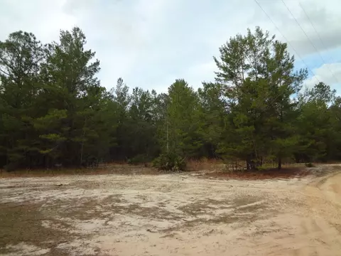 tbd Helms Rd, Ebro, FL 32437 photo 6