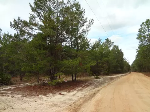 tbd Helms Rd, Ebro, FL 32437 photo 4