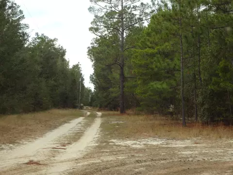 tbd Helms Rd, Ebro, FL 32437 photo 9