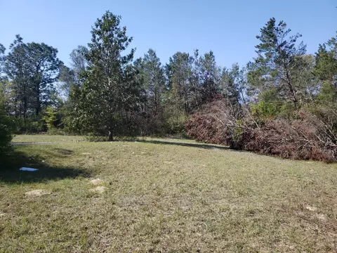 4128 Merrifield Ct, Chipley, FL 32428 photo 25