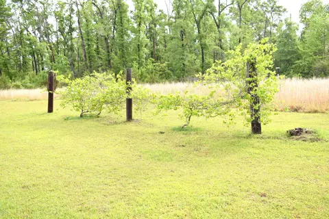 3701 Keenkutter Rd, Vernon, FL 32462 photo 27
