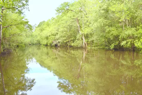 3701 Keenkutter Rd, Vernon, FL 32462 photo 3
