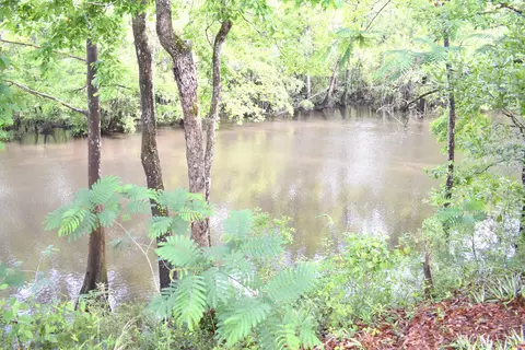 3701 Keenkutter Rd, Vernon, FL 32462 photo 40