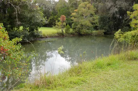 1213 Plum Ave, Chipley, FL 32428 photo 20