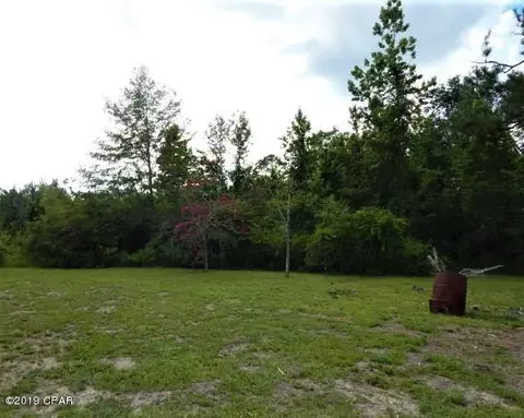 1544 Ledger Rd, Chipley, FL 32428 photo 15