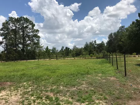 3732 Pine Log Rd, Chipley, FL 32428 photo 13