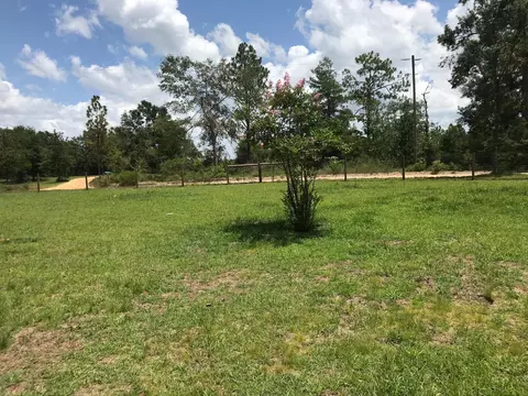 3732 Pine Log Rd, Chipley, FL 32428 photo 14