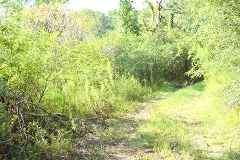 1809 Ledger Rd, Chipley, FL 32428 photo 6