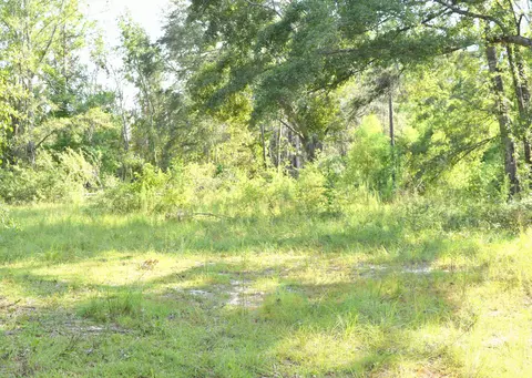 1809 Ledger Rd, Chipley, FL 32428 photo 4