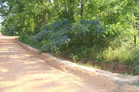 1809 Ledger Rd, Chipley, FL 32428 photo 3