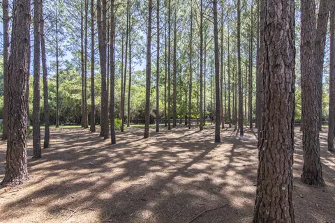 519 Brighton Cv, Freeport, FL 32439 photo 49