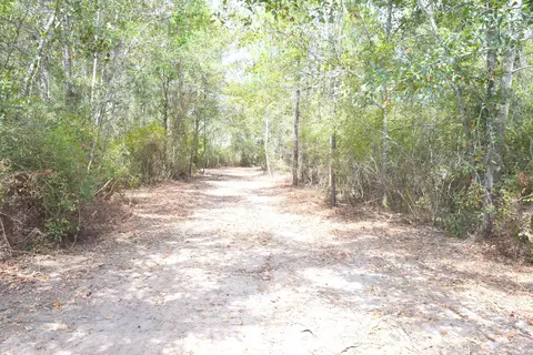 982 Highway 90, Chipley, FL 32428 photo 2
