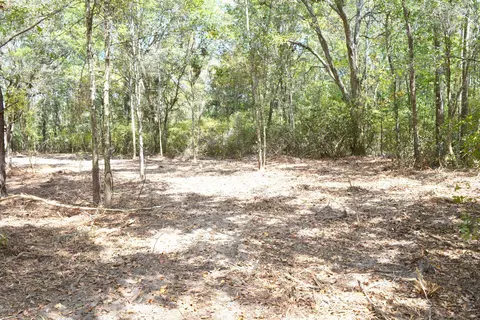 982 Highway 90, Chipley, FL 32428 photo 3