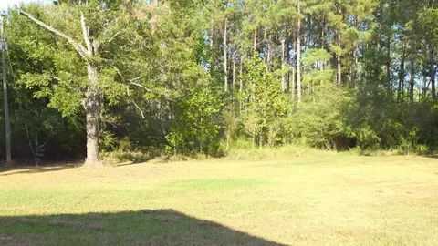155 Highway 77, Chipley, FL 32428 photo 23