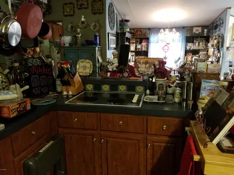 3340 Cardinal Pl, Chipley, FL 32428 photo 14