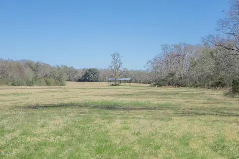 1475 Orange Hill Rd, Chipley, FL 32428 photo 6