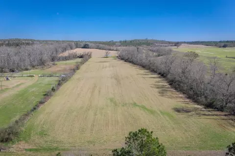 1475 Orange Hill Rd, Chipley, FL 32428 photo 7