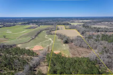 1475 Orange Hill Rd, Chipley, FL 32428 photo 10