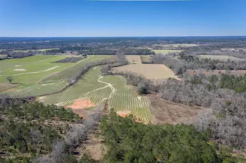 1475 Orange Hill Rd, Chipley, FL 32428 photo 11
