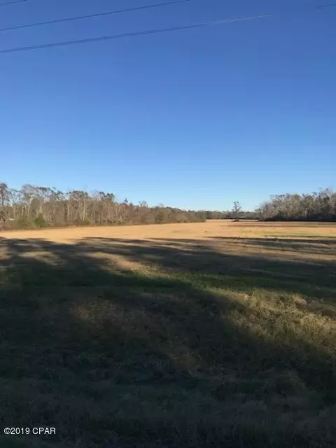 1475 Orange Hill Rd, Chipley, FL 32428 photo 5