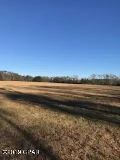 1475 Orange Hill Rd, Chipley, FL 32428 photo 2