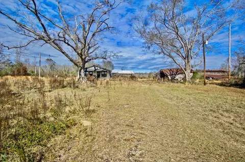 48 Corbin Rd, Cottondale, FL 32431 photo 27