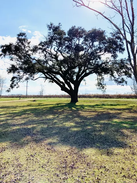 23733 County Road 69a, Altha, FL 32421 photo 17